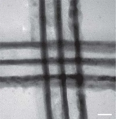 Electron microscope image of a memristor crossbar